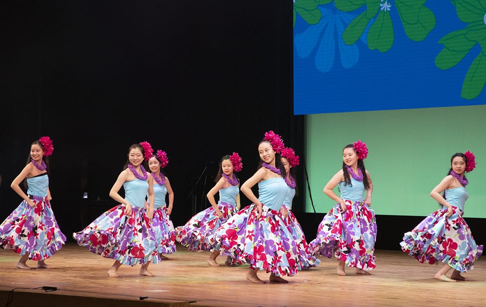 ミステリアスハワイ