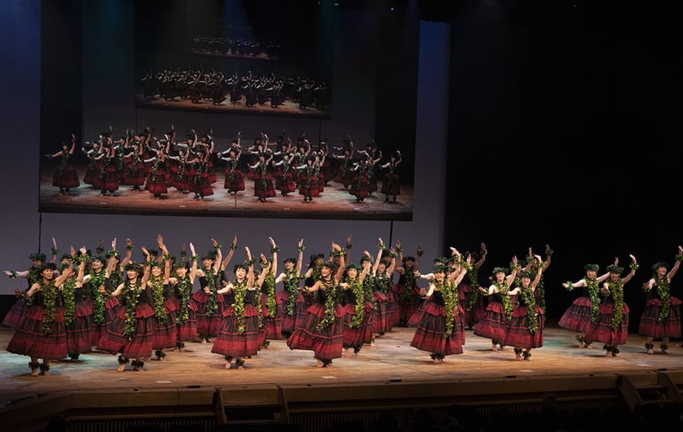 ミステリアスハワイ