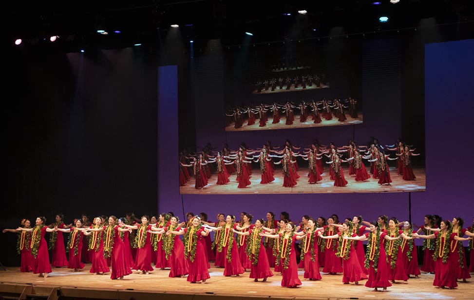 ミステリアスハワイ