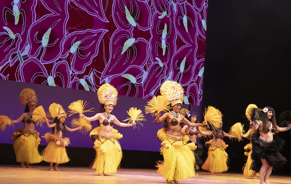 ミステリアスハワイ